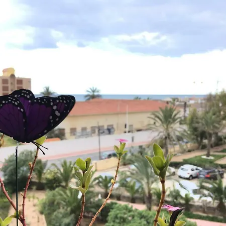 Daire Vistas Playa La Mata (Torrevieja)